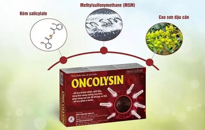 Các thành phần chính tạo nên sản phẩm Oncolysin - Hỗ trợ giảm u bướu.webp